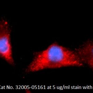Human Aldehyde Dehydrogenase 1A1 (ALDH1A1) AssayLite Antibody (APC Conjugate)