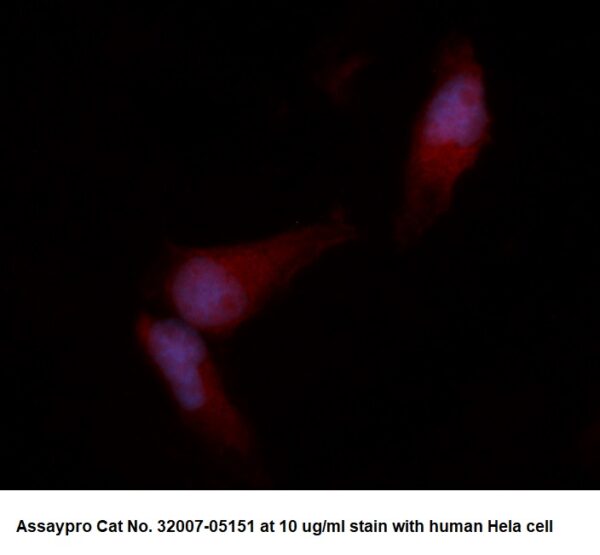 Human Alcohol Dehydrogenase (AKR1A1) AssayLite Antibody (RPE Conjugate)