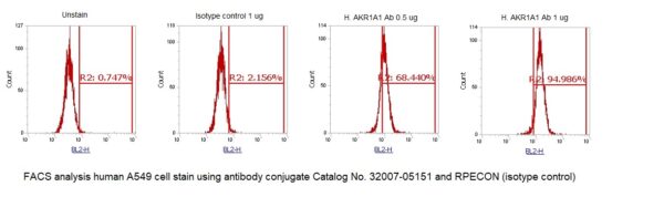 Human Alcohol Dehydrogenase (AKR1A1) AssayLite Antibody (RPE Conjugate) - Image 2