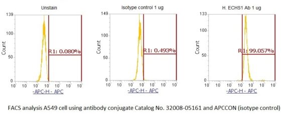 Human ECHS1 AssayLite Antibody (APC Conjugate) - Image 2