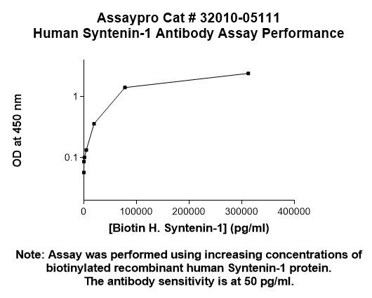 Human Syntenin-1 Antibody