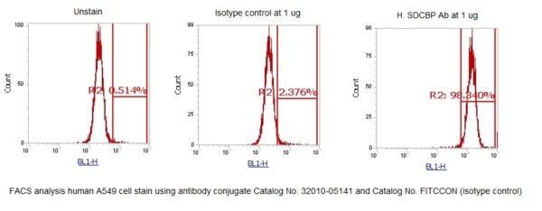 Human Syntenin-1 AssayLite Antibody (FITC Conjugate) - Image 2