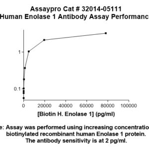 Human Enolase 1 Antibody