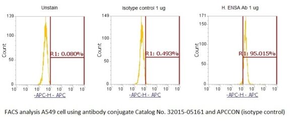 Human alpha-Endosulfine (ENSA) AssayLite Antibody (APC Conjugate)