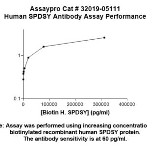 Human Spermidine Synthase (SPDSY) Antibody
