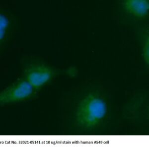 Human PCMT1 AssayLite Antibody (FITC Conjugate)