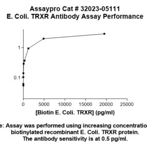 E. coli Thioredoxin Reductase (TRXB) Antibody