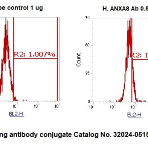 Human Annexin A8 (ANXA8) Antibody (RPE Conjugate)