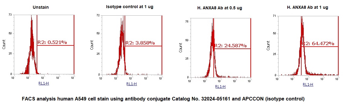 Human Annexin A8 (ANXA8) AssayLite Antibody (APC Conjugate)