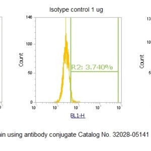 Human Adenylate Kinase Isoenzyme 1 (AK 1) AssayLite Antibody (FITC Conjugate)