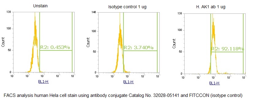 Human Adenylate Kinase Isoenzyme 1 (AK 1) AssayLite Antibody (FITC Conjugate)