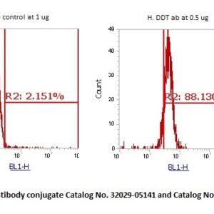 Human DDT Antibody (FITC Conjugate)