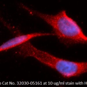 Human HPRT1 AssayLite Antibody (APC Conjugate)