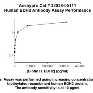 Human BDH2 Antibody