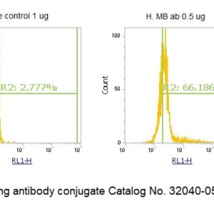 Human Myoglobin (MB) AssayLite Antibody (APC Conjugate)