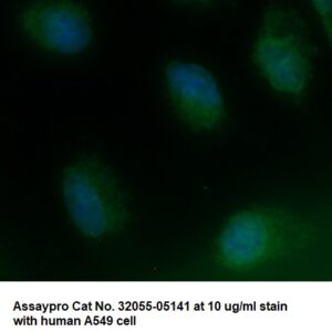 Human LIPG AssayLite Antibody (FITC Conjugate)