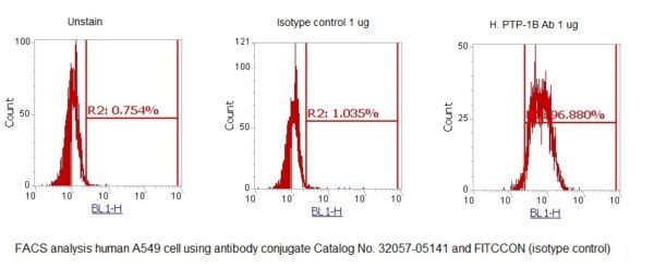 Human Protein-Tyrosine Phosphatase 1B (PTP-1B) AssayLite Antibody (FITC Conjugate) - Image 3