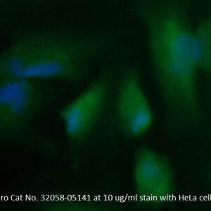 Human Cystatin-C (CST3) AssayLite Antibody (FITC Conjugate)