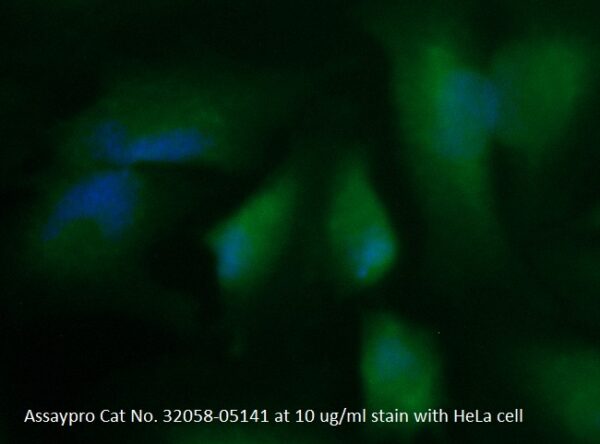 Human Cystatin-C (CST3) AssayLite Antibody (FITC Conjugate)
