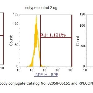 Human Cystatin-C (CST3) AssayLite Antibody (RPE Conjugate)