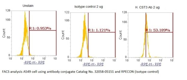 Human Cystatin-C (CST3) AssayLite Antibody (RPE Conjugate)
