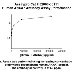 Human Annexin A7 (ANXA7) Antibody