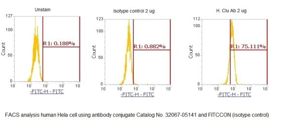 Human Apolipoprotein J AssayLite Antibody (FITC Conjugate)