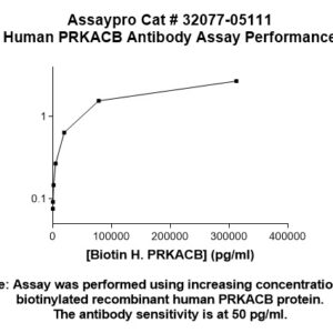 Human PRKACB Antibody