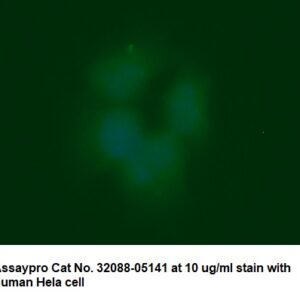 Human Aldolase C AssayLite Antibody (FITC Conjugate)