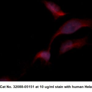 Human Aldolase C AssayLite Antibody (RPE Conjugate)