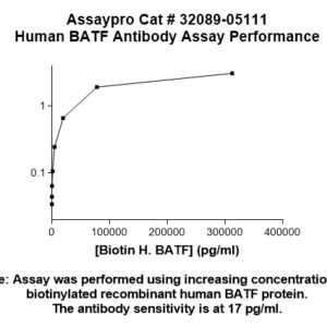 Human BATF Antibody