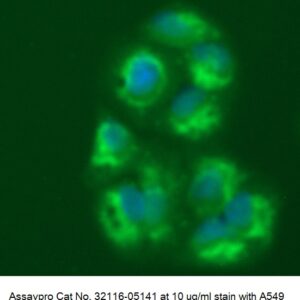Human ATP Synthase Subunit O, Mitochondrial (ATP5O) AssayLite Antibody (FITC Conjugate)