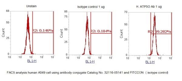 Human ATP Synthase Subunit O, Mitochondrial (ATP5O) AssayLite Antibody (FITC Conjugate) - Image 2