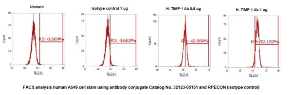 Human Tissue Inhibitor of Metalloproteinases 1 (TIMP-1) AssayLite Antibody (RPE Conjugate)