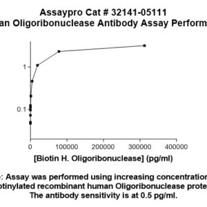 Human Oligoribonuclease Antibody