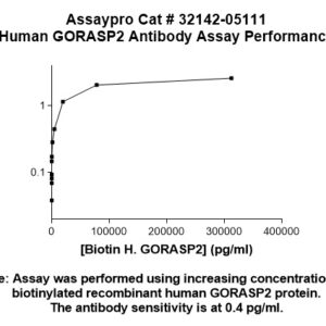 Human Golgi Phosphoprotein 6 (GORASP2) Antibody