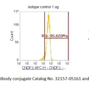 Human CNDP Dipeptidase 2 (CNDP2) AssayLite Antibody (APC Conjugate)