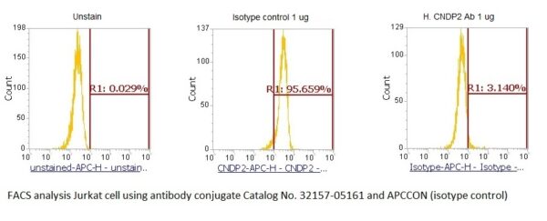 Human CNDP Dipeptidase 2 (CNDP2) AssayLite Antibody (APC Conjugate)