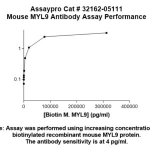 Mouse MYL9 Antibody (Biotin Conjugate)