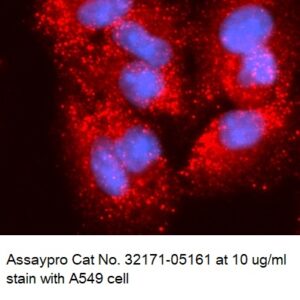 Human Annexin A1  (ANXA1) AssayLite Antibody (APC Conjugate)