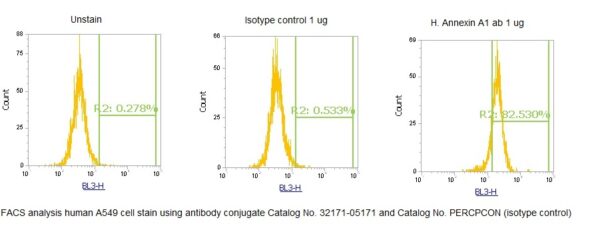 Human Annexin A1  (ANXA1) AssayLite Antibody (PerCP Conjugate) - Image 2