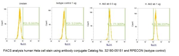 Human Adenylate Kinase 2 (AK 2) AssayLite Antibody (RPE Conjugate) - Image 2