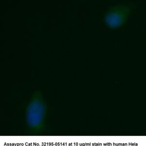 Human CD47 AssayLite Antibody (FITC Conjugate)