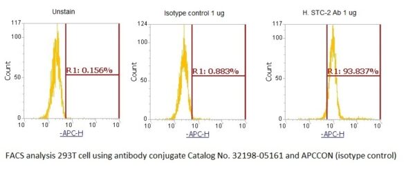 Human Stanniocalcin-2 (STC-2) AssayLite Antibody (APC Conjugate) - Image 2
