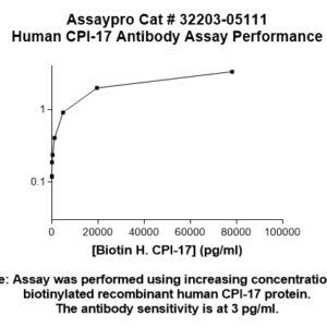 Human CPI-17 Antibody (Biotin Conjugate)