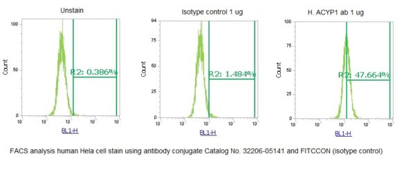 Human Acylphosphatase-1 (ACYP1) AssayLite Antibody (FITC Conjugate) - Image 2