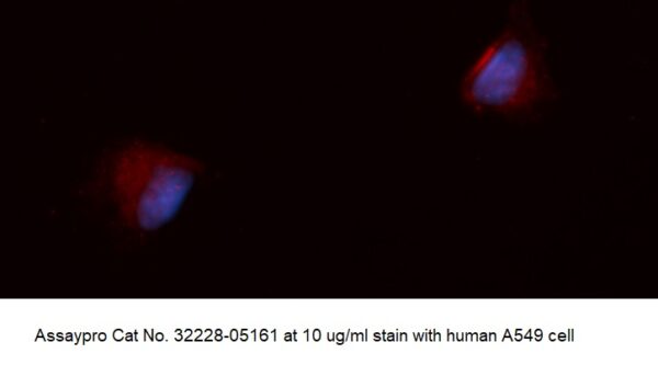 Human FLRT3 AssayLite Antibody (APC Conjugate)