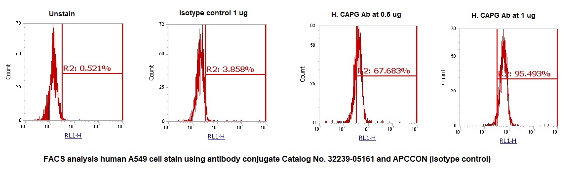 Human CAPG AssayLite Antibody (APC Conjugate)