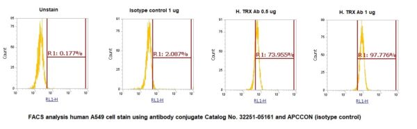 Human Thioredoxin (TXN) AssayLite Antibody (APC Conjugate) - Image 2