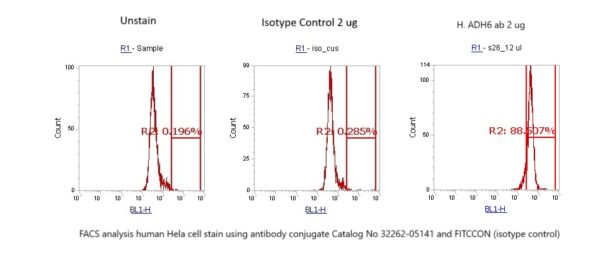 Human Alcohol Dehydrogenase 6 (ADH6) AssayLite Antibody (FITC Conjugate)